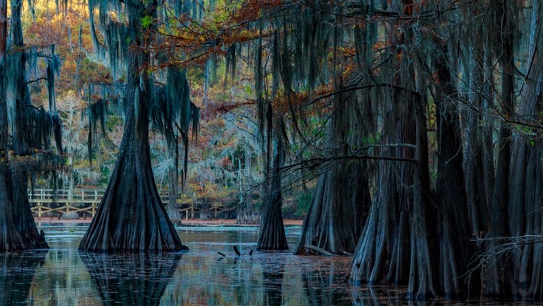 Caddo Lake